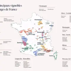 Carte des vignobles français, une histoire du vin à travers les cépages.