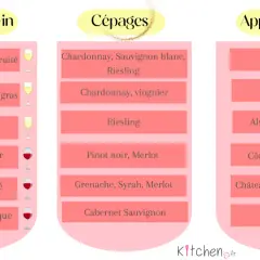 Tableau comparatif des vins : styles, cépages et appellations. Le vin rouge du sud de la France est représenté par des cépages comme le Grenache, Syrah, Merlot et des appellations telles que Châteauneuf du Pape.