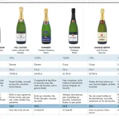 Comparaison de différents types de champagne : prix, notes et caractéristiques pour vous aider à choisir.