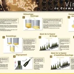 Le processus de vinification du Crémant de Bourgogne, de la pressurage à l'ajout de la liqueur d'expédition.