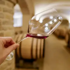Verre de vin rouge dans une cave bourguignonne, avec des tonneaux en arrière-plan. Un tableau des millésimes bourgogne à découvrir.