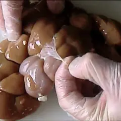 Mains de bouchers gantées manipulant un rognon de boeuf frais, prêt pour la préparation culinaire.
