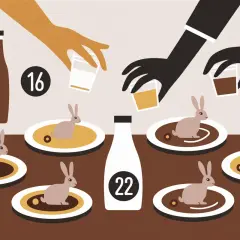 Des lapins en sauce sur des assiettes, accompagnés de bouteilles et de verres. Une question se pose : que boire avec du lapin en sauce ?