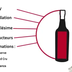 Conseils pour l'achat de vin : ABV, appellation, millésime, producteurs, désignations. Choisir un sauvignon sec ou moelleux.