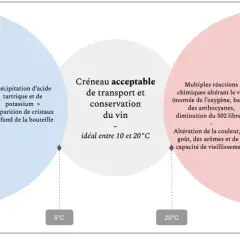 Le diagramme illustre l'impact de la température sur la conservation du vin rouge. Les températures extrêmes (-6°C, 30°C) entraînent des risques pour le vin et la bouteille. Le créneau idéal se situe entre 10 et 20°C.