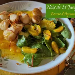 Noix de Saint-Jacques poêlées sur lit d'épinards et d'oranges, une recette de coquille saint jacques facile et savoureuse.