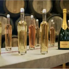 Bouteilles de champagne alignées, prêtes pour la production de champagne en France. Au fond, des tonneaux de vieillissement.