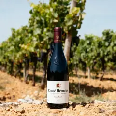 Bouteille de vin rouge Crozes-Hermitage posée sur des pierres, avec un vignoble en arrière-plan.