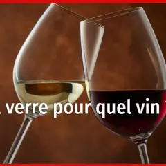Deux verres à vin, l'un contenant du vin blanc, l'autre des vins rouges profonds, se font face. Lequel choisir pour chaque dégustation ?