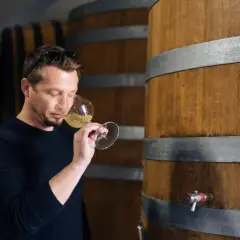 Un homme déguste un verre de vin blanc près de fûts de chêne, peut-être un chardonnay sec ou moelleux.