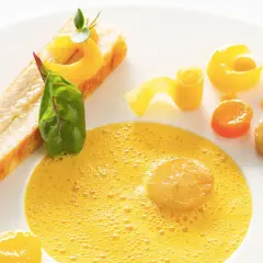 Une assiette élégante pour une recette d'omble chevalier : poisson poêlé, écume de carotte, et légumes croquants.
