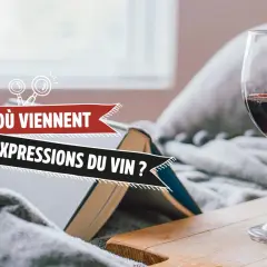 Verre de vin rouge près d'un livre ouvert, avec le texte "D'où viennent les expressions du vin ?". Une invitation à explorer l'origine pot de vin des mots.