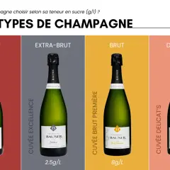 Les différentes bouteilles de champagne Bausser : Nature (0g/L), Extra-Brut (2.5g/L), Brut (8g/L) et Demi-Sec (34g/L).