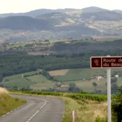 Route des Vins du Beaujolais. Combien de temps se garde un beaujolais village ? Ce paysage vallonné invite à la dégustation.