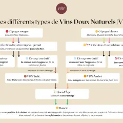 Schéma des Vins Doux Naturels : le vin est-il un spiritueux ? Ce diagramme explique les VDN, de leurs cépages à leur élevage, pour comprendre leur nature.