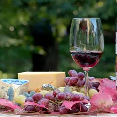 Un verre de vin rouge, du fromage et des raisins, une belle composition pour un apéritif.