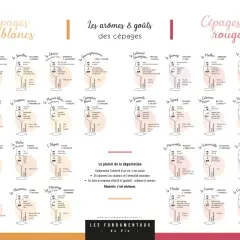 Tableau comparatif des cépages blancs et rouges, leurs arômes et saveurs. Chaque vin est représenté par un verre stylisé avec ses caractéristiques.
