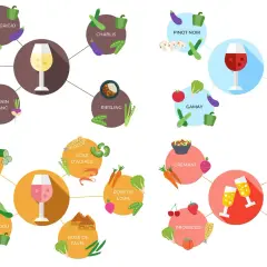 Schéma des vins et accords mets : le Pinot Blanc s'associe bien avec des légumes comme les haricots verts, les tomates et les courgettes.