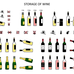 Illustrations de bouteilles de vin, certaines couchées, idéales pour le temps de garde vin rouge.