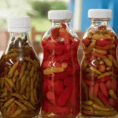 Bouteilles de piments verts et rouges marinés, prêts pour une recette de pickles maison.