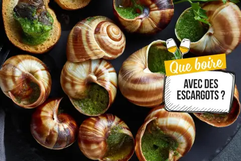 Escargots à l'ail et persil, prêts à être dégustés. La question se pose : quel vin avec les escargots ?