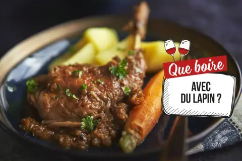 Un plat de lapin mijoté avec des carottes et des pommes de terre. La question "Que boire avec du lapin ?" est affichée.