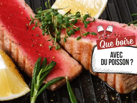 Quel vin avec poisson en sauce - Le guide ultime