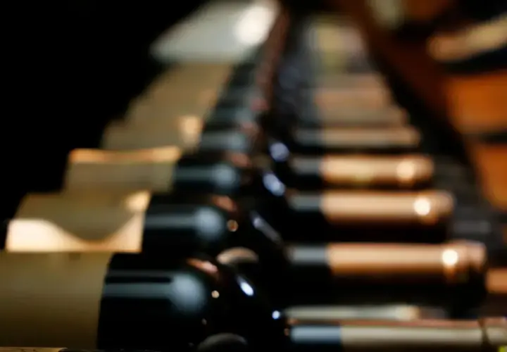 Des bouteilles de vin de garde alignées dans une cave sombre, attendant patiemment de révéler leurs arômes complexes.