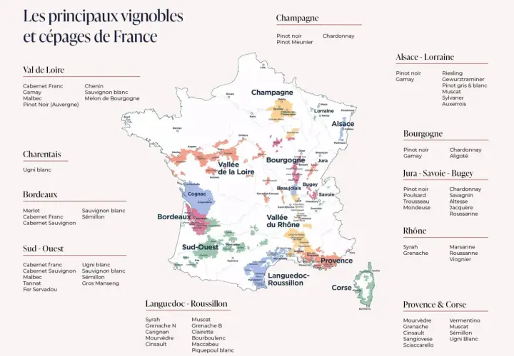 Carte des vignobles français, une histoire du vin à travers les cépages.