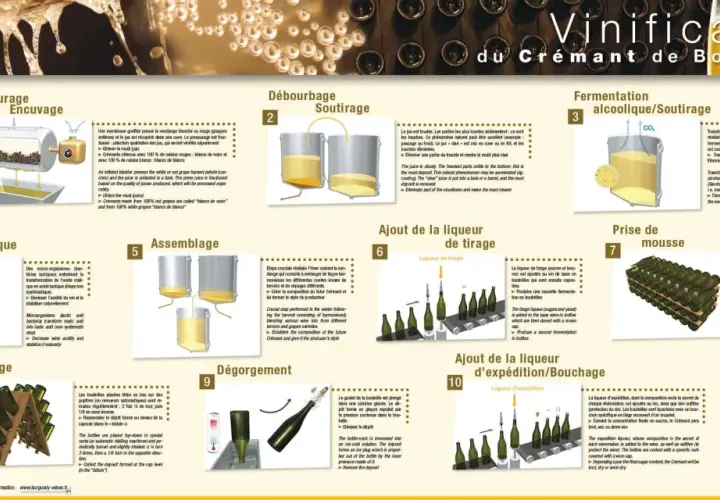 Le processus de vinification du Crémant de Bourgogne, de la pressurage à l'ajout de la liqueur d'expédition.