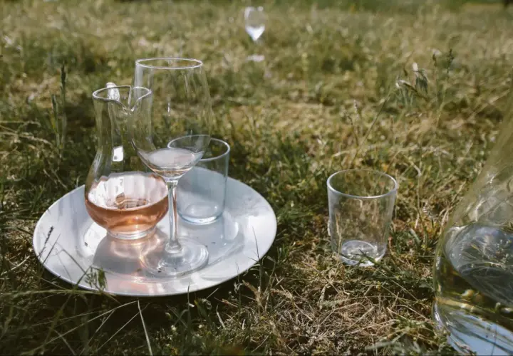 Verre à vin rosé sur une assiette blanche, prêt à être dégusté à la température parfaite dans l'herbe.