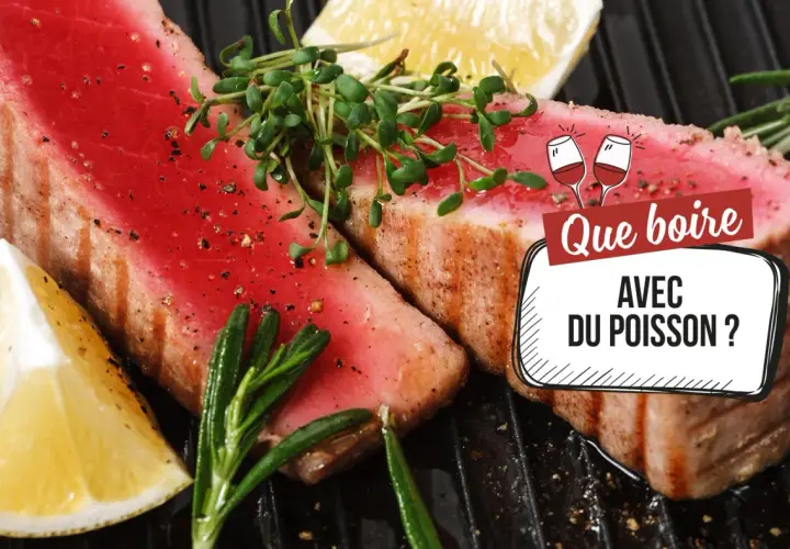 Deux beaux steaks de thon grillés, ornés de pousses vertes, de romarin et de quartiers de citron. La question "Que boire avec du poisson ?" est affichée.