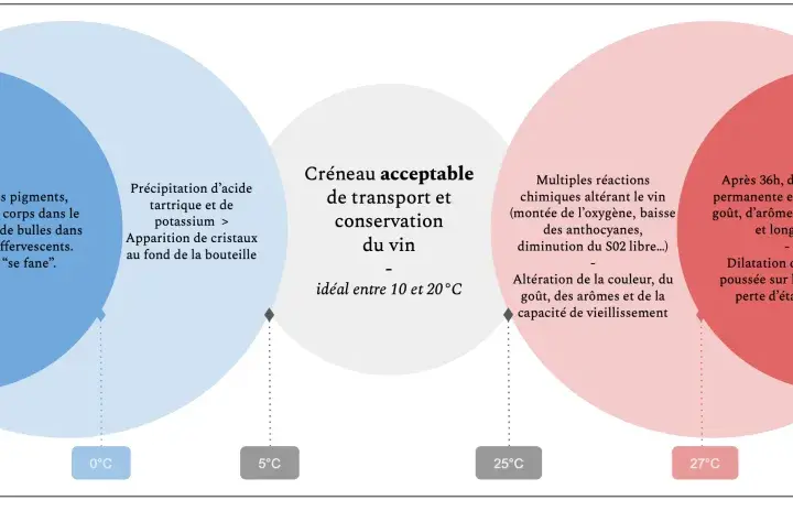 Le diagramme illustre l'impact de la température sur la conservation du vin rouge. Les températures extrêmes (-6°C, 30°C) entraînent des risques pour le vin et la bouteille. Le créneau idéal se situe entre 10 et 20°C.
