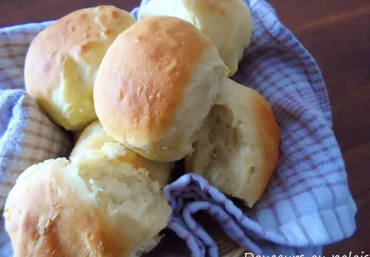 Petits pains maison dorés, moelleux et aériens. Une recette de petit pain maison facile et rapide pour le plaisir des gourmands.