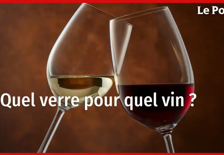 Deux verres à vin, l'un contenant du vin blanc, l'autre des vins rouges profonds, se font face. Lequel choisir pour chaque dégustation ?