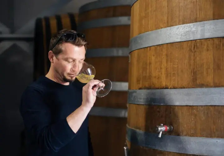 Un homme déguste un verre de vin blanc près de fûts de chêne, peut-être un chardonnay sec ou moelleux.