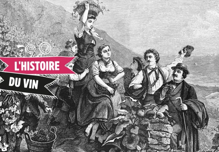 Gravure ancienne illustrant la récolte des raisins, évoquant l'origine du vin. Des vendangeurs, hommes et femmes, portent des paniers de fruits.