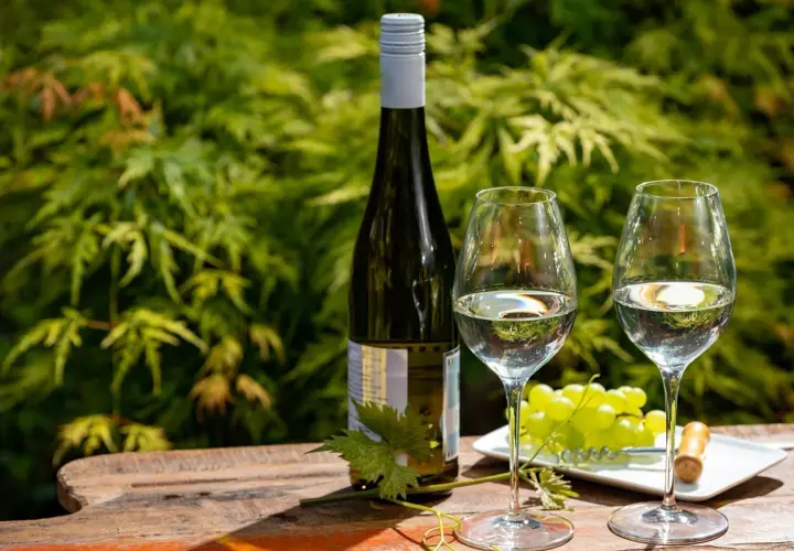 Bouteille de riesling avec deux verres, une grappe de raisin et un tire-bouchon sur une table en bois, devant un feuillage verdoyant.