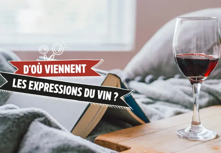 Verre de vin rouge près d'un livre ouvert, avec le texte "D'où viennent les expressions du vin ?". Une invitation à explorer l'origine pot de vin des mots.