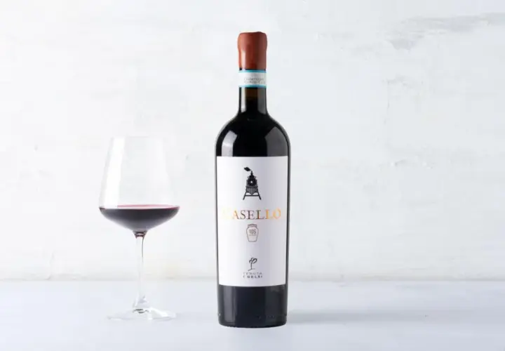 Verre de vin rouge et bouteille de Casello Aglianico del Vulture, un vin italien aux arômes intenses.
