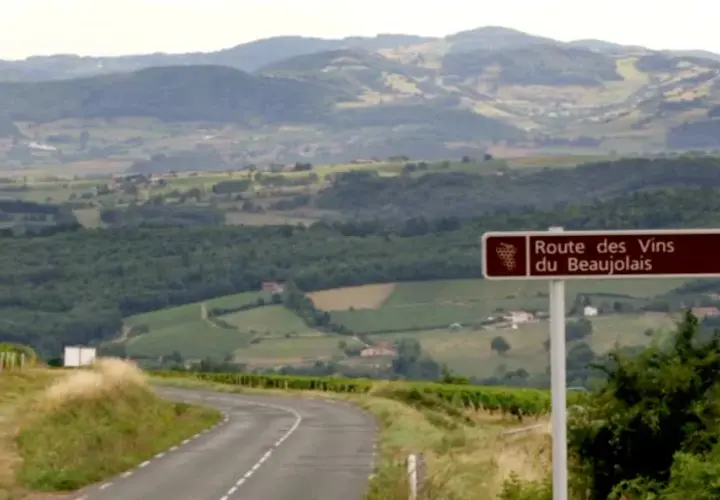 Route des Vins du Beaujolais. Combien de temps se garde un beaujolais village ? Ce paysage vallonné invite à la dégustation.