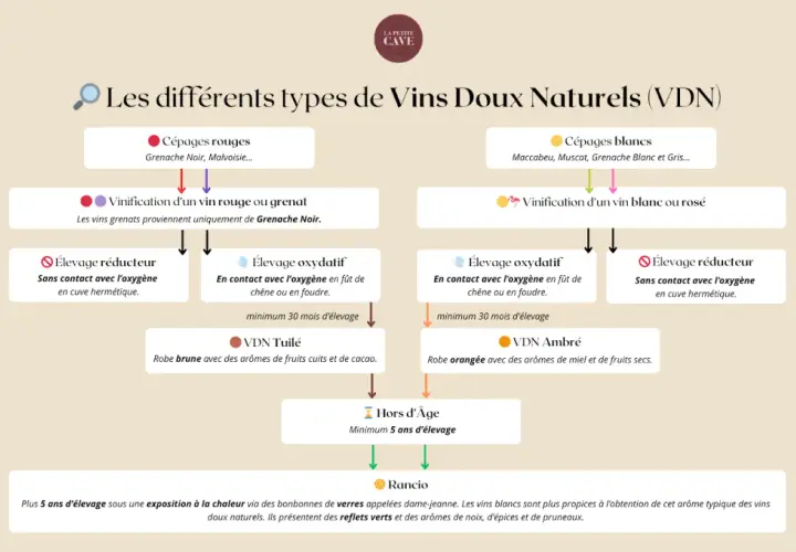 Schéma des Vins Doux Naturels : le vin est-il un spiritueux ? Ce diagramme explique les VDN, de leurs cépages à leur élevage, pour comprendre leur nature.