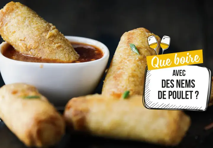 Nems croustillants trempés dans une sauce. La question se pose : quel vin avec des nems de poulet ?