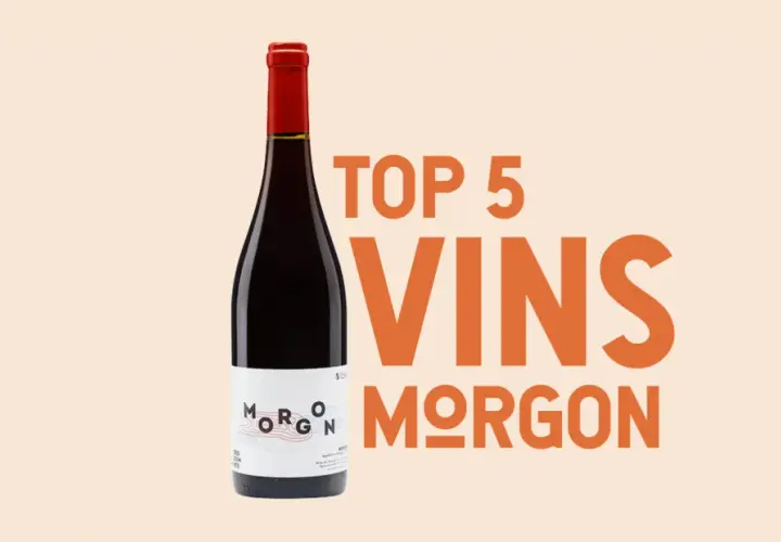 Une bouteille de vin rouge Morgon, un vin de garde, mise en avant avec le texte "TOP 5 VINS MORGON".