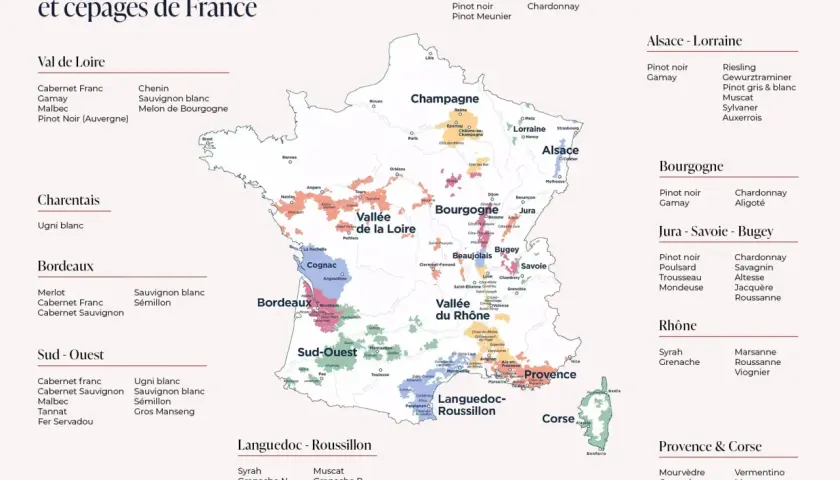 Carte des vignobles français, une histoire du vin à travers les cépages.