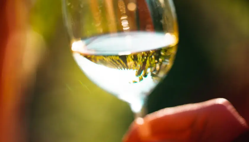 Un verre de vin blanc, reflet d'un paysage verdoyant, tenu par une main. Un moment de détente, parfait pour déguster ce type de vin blanc.