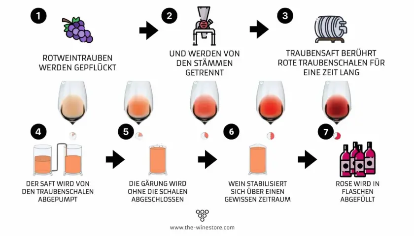 Le vin rosé est fait en laissant le jus de raisin rouge macérer brièvement avec les peaux, puis en séparant le jus pour la fermentation.