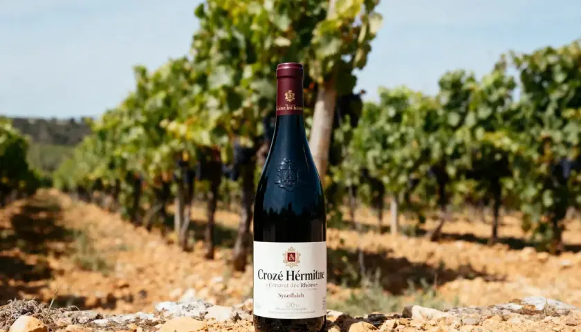 Bouteille de vin rouge Crozes-Hermitage posée sur des pierres, avec un vignoble en arrière-plan.