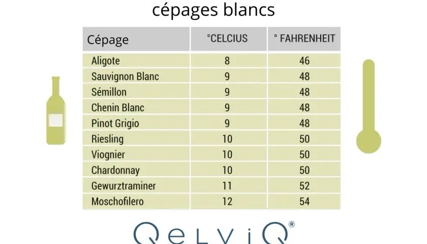 Tableau des températures idéales pour servir les cépages blancs. Un thermomètre et une bouteille de vin illustrent ce guide.