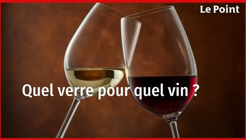 Deux verres à vin, l'un contenant du vin blanc, l'autre des vins rouges profonds, se font face. Lequel choisir pour chaque dégustation ?